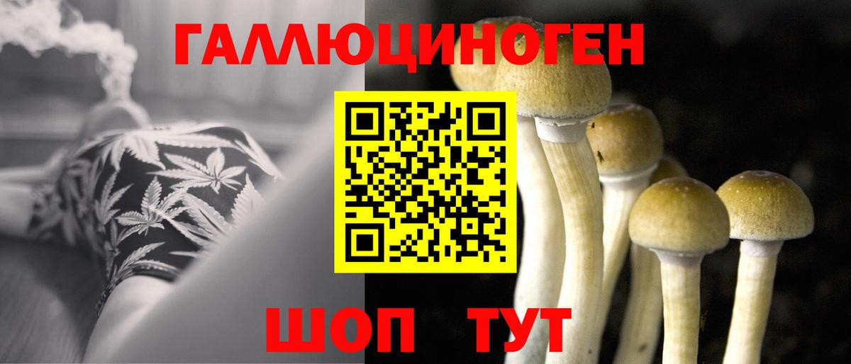 Галлюциногенные грибы MAGIC MUSHROOMS  Псилоцибиновые грибы мицелий  Черногорск  как найти   Вход с VPN 